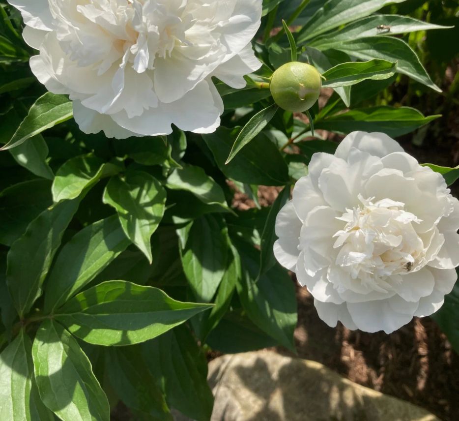 therapeutic yoga group