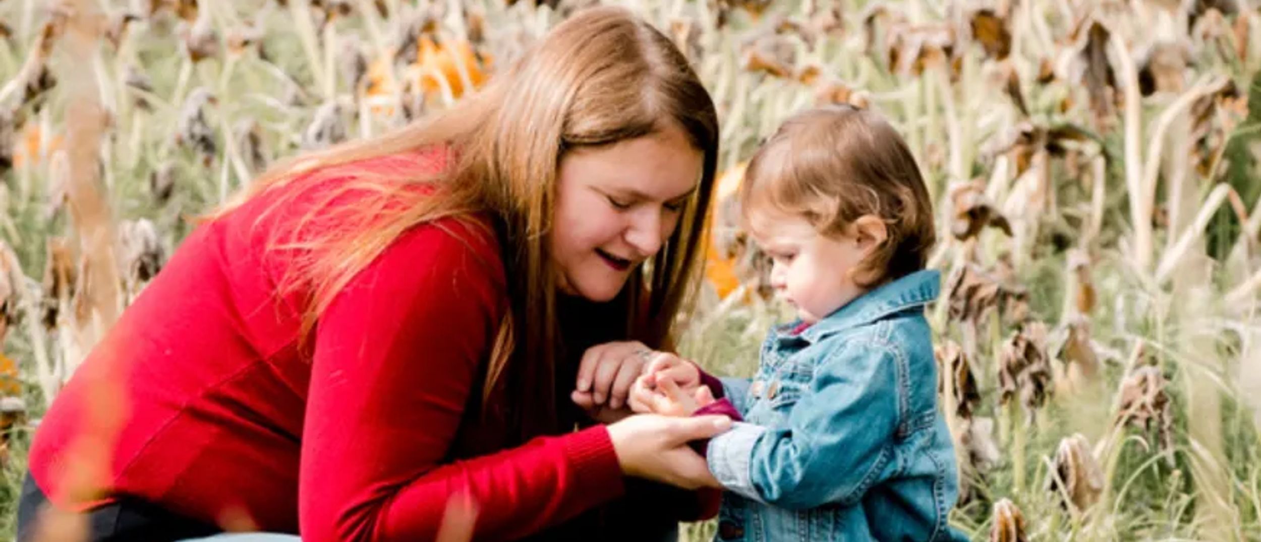 Copper Fox and Clover