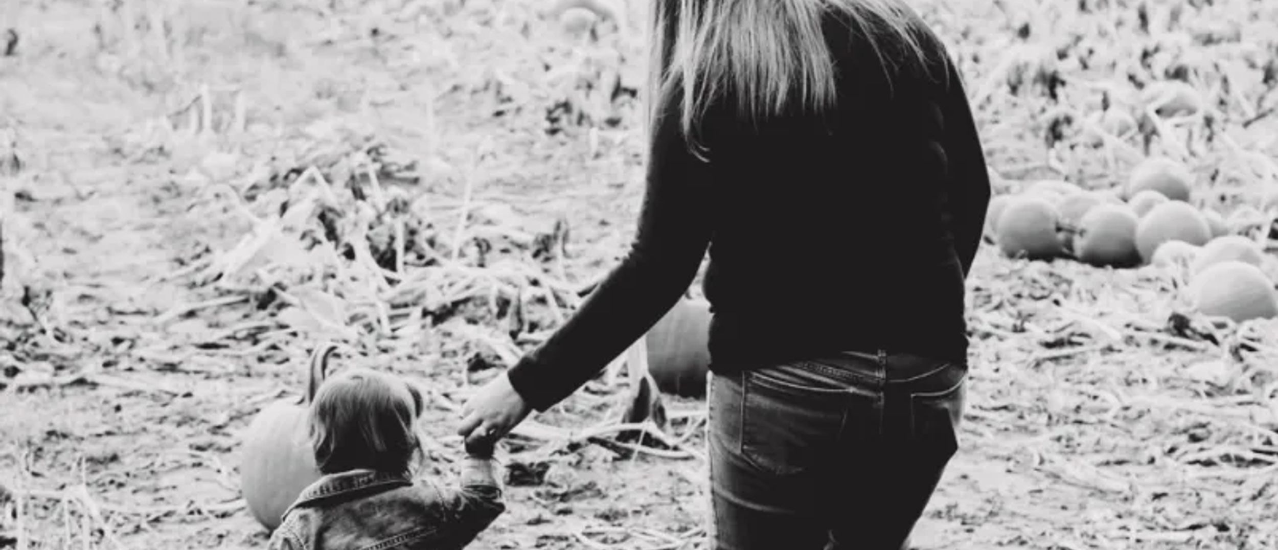 Copper Fox and Clover